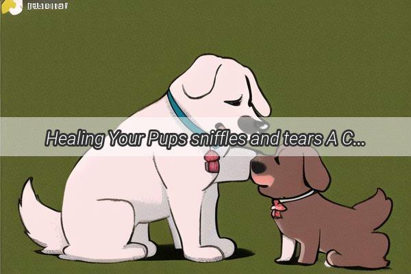 Healing Your Pups sniffles and tears A Comprehensive Guide to Treating Dog Coughs and Watery Eyes